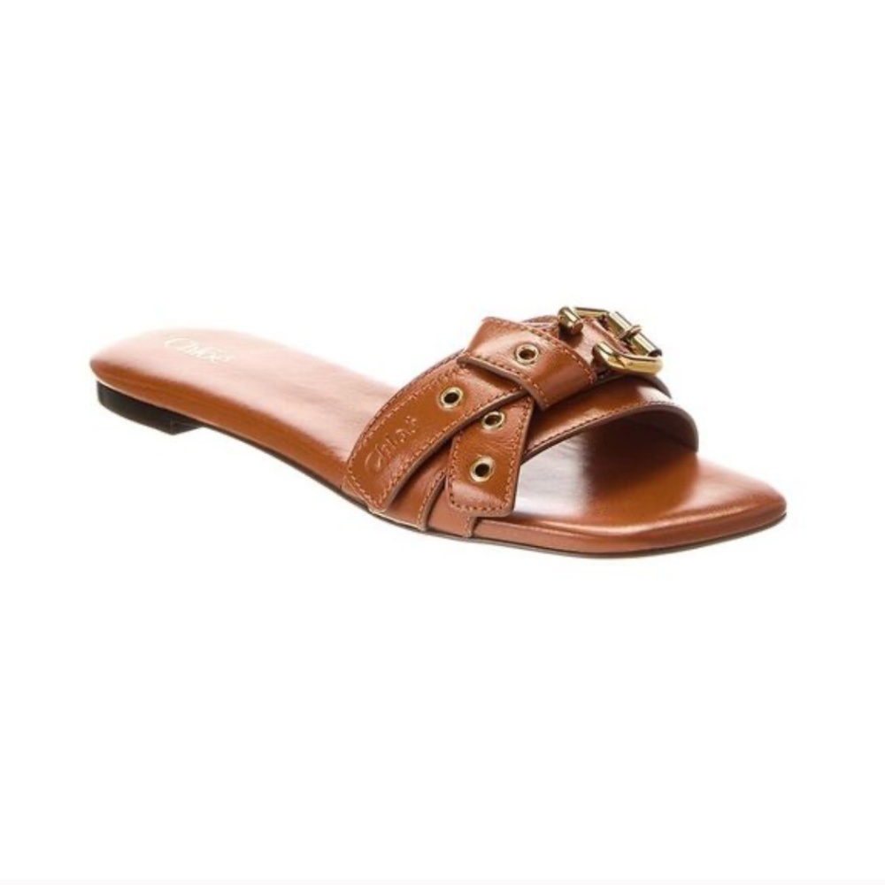 NIB $750 Chloé Mae Slide Sandal in CLAY BROWN, Size 7.5US / 37.5EU!